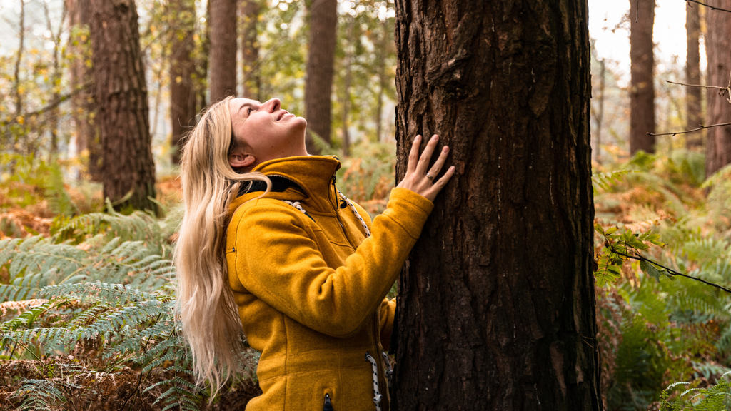 The Forest Effect: How One Walk Can Supercharge Your Immune System
