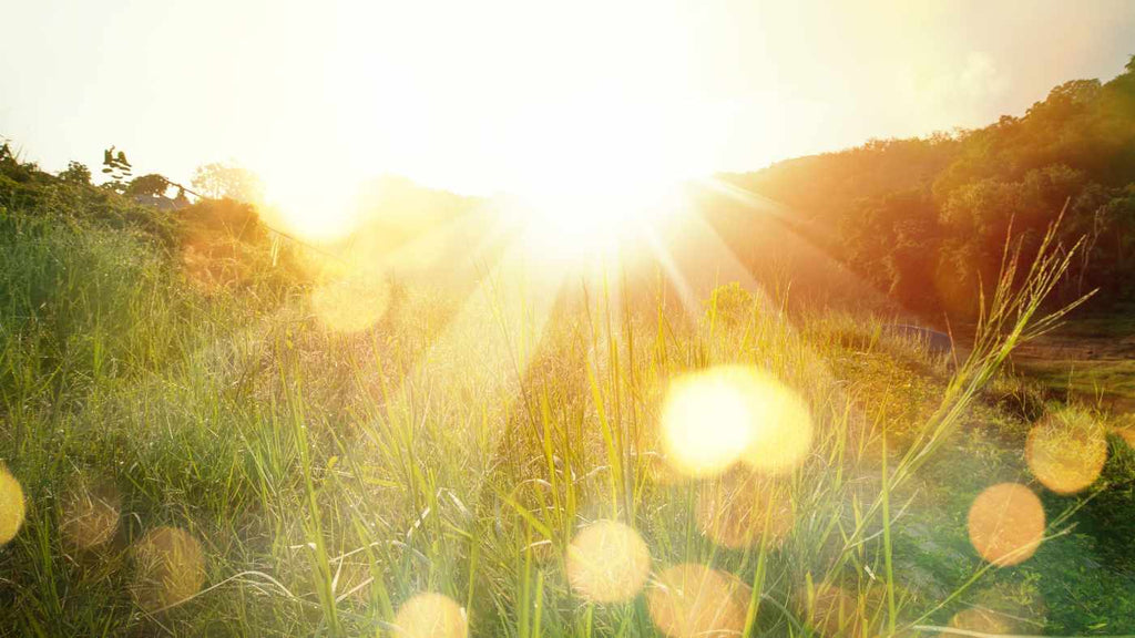 STOP BLAMING THE SUN FOR WHAT SEED OILS ARE DOING!