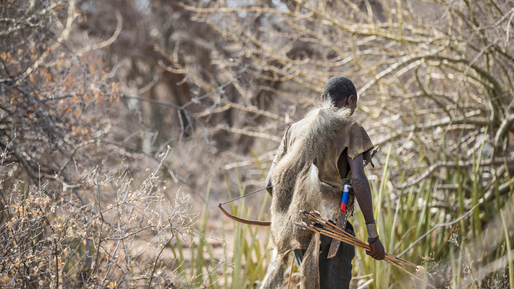 OUR ANCESTORS KNEW WHAT THEY WERE DOING