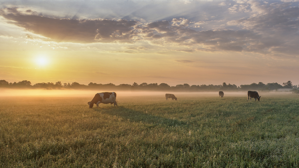 AND THEY SAY COW FARTS ARE THE PROBLEM…