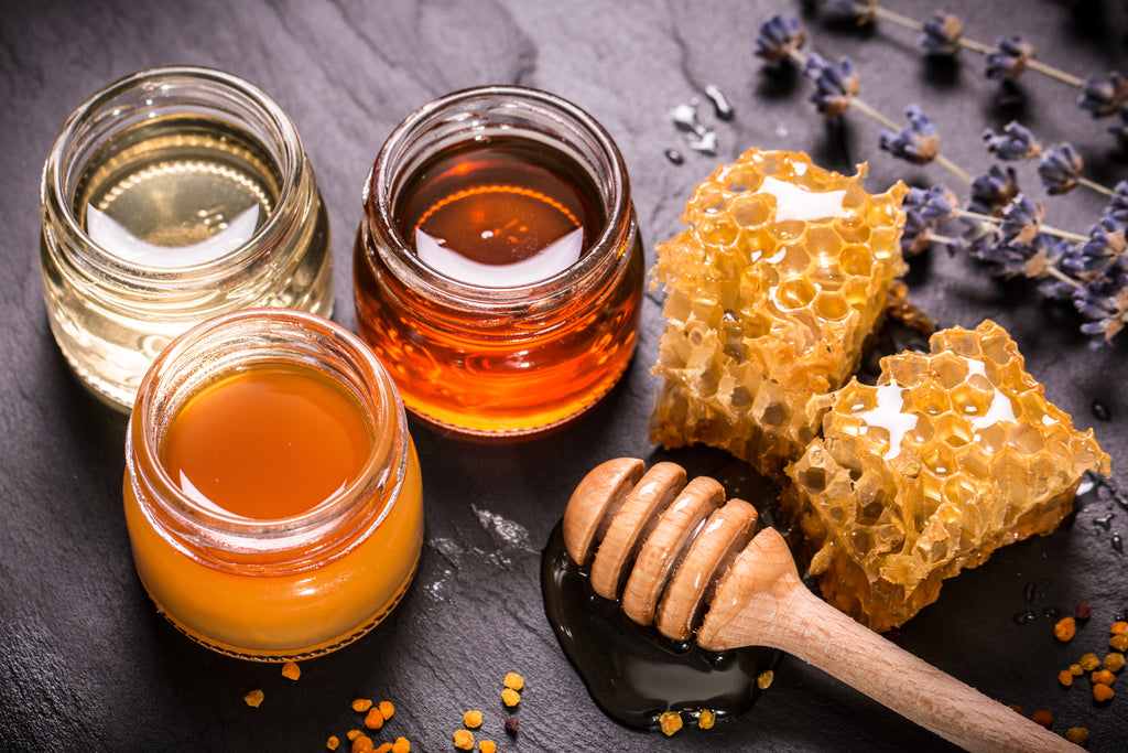 Is honey considered carnivore?