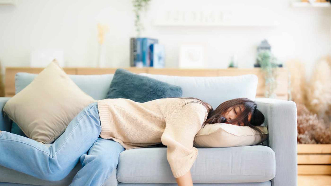 I Started Carnivore, Why am I Feeling So Fatigued?