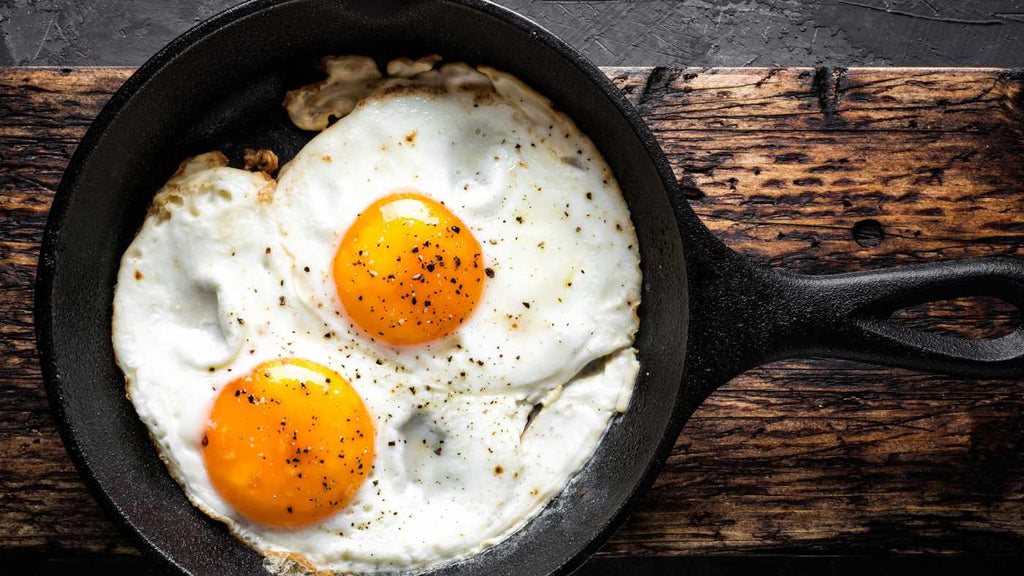 Egg-cellent Revelations: Cracking the Myths Around Nature’s Multivitamin