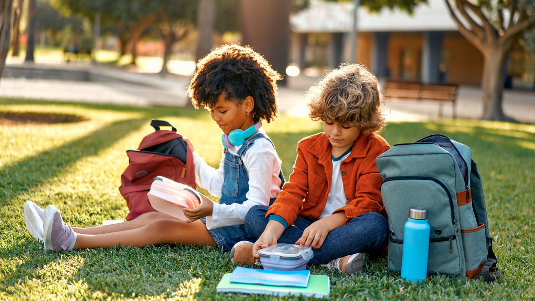 Why Real Animal Nutrition Beats Standard Lunchbox Snacks