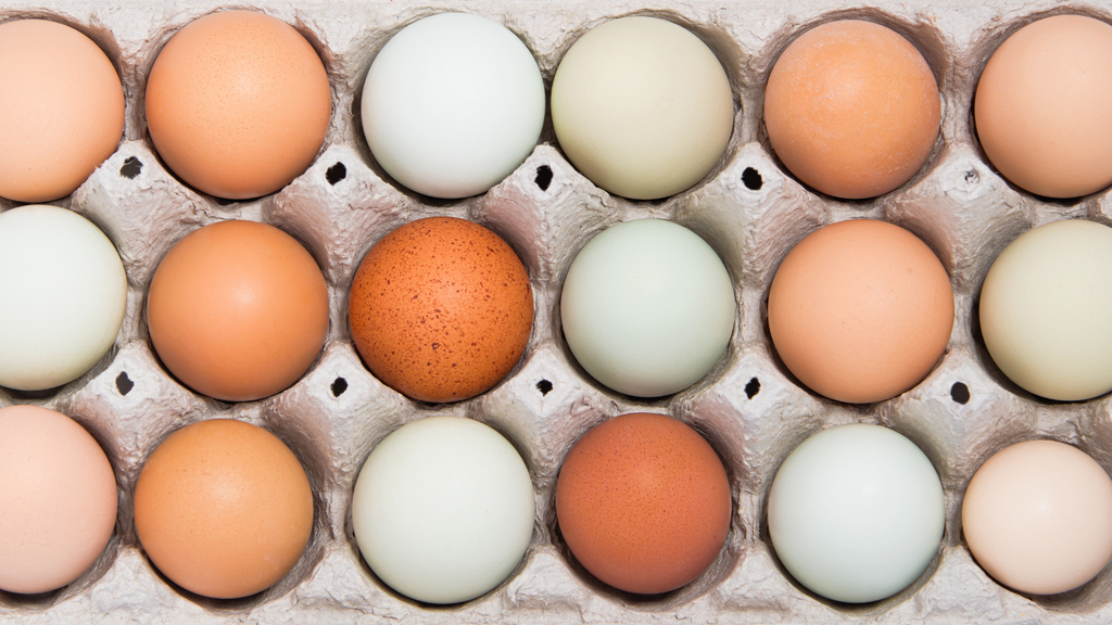 EGGS: Nature’s Original Multivitamin