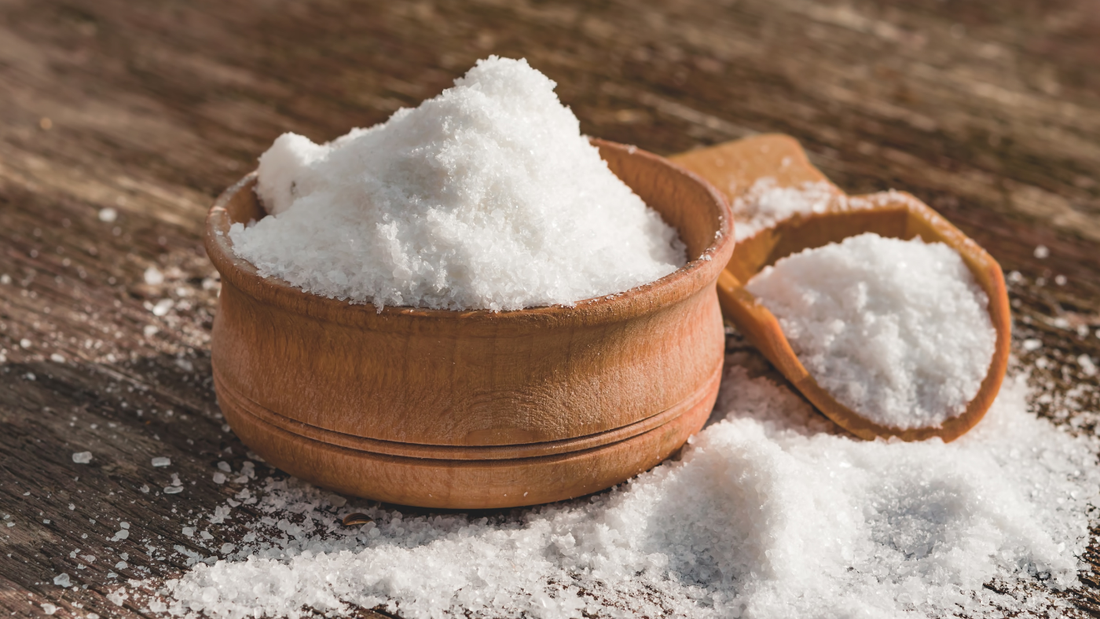 THE SALT LIE: WHY EVERYTHING YOU WERE TOLD ABOUT SODIUM WAS BACKWARDS