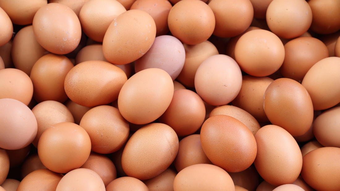 🥚 THE GREAT EGG EXPERIMENT: Why 720 Eggs in a Month Didn’t Raise Cholesterol — It Lowered It