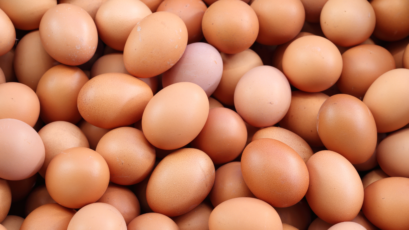 🥚 THE GREAT EGG EXPERIMENT: Why 720 Eggs in a Month Didn’t Raise Cholesterol — It Lowered It
