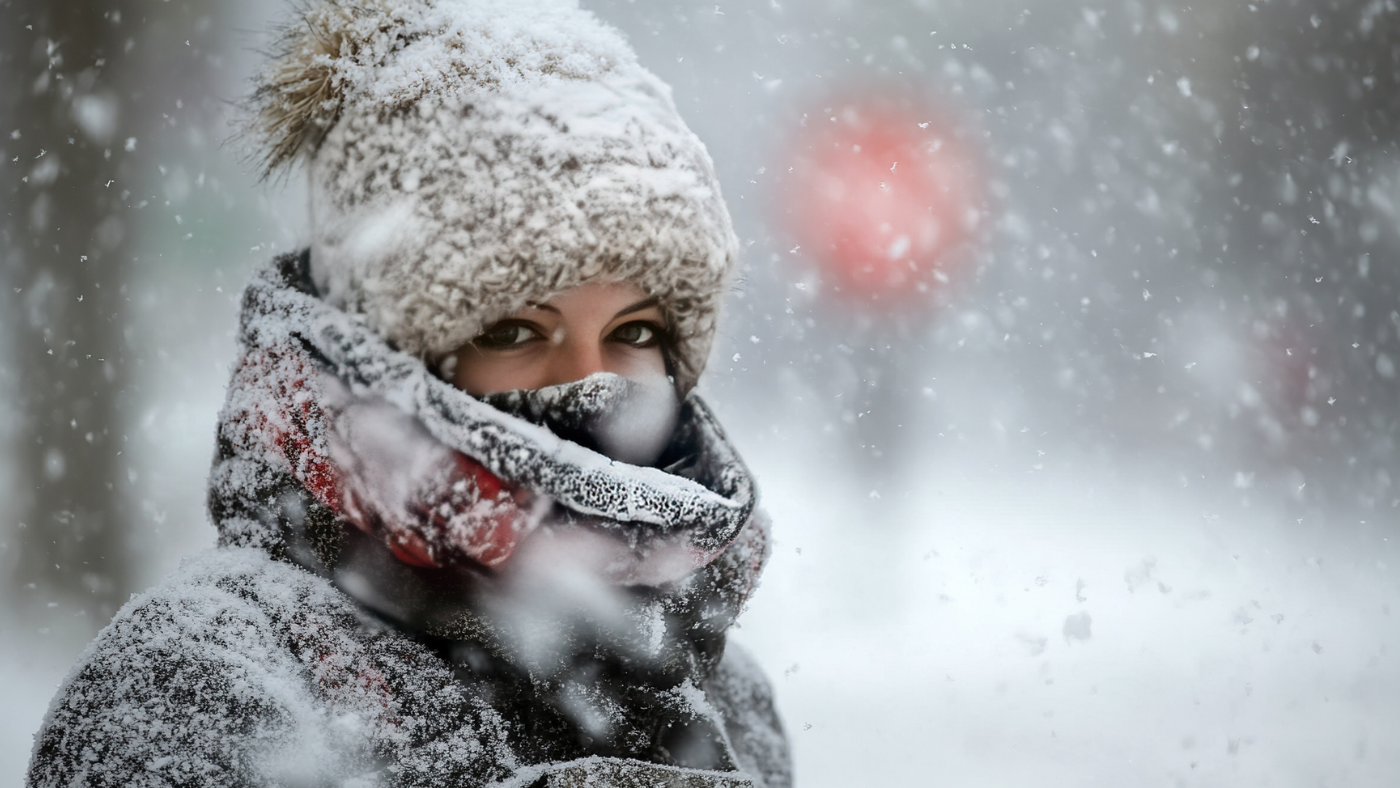 The Metabolic Winter Concept: Why Humans Need More Fat in Cold Months ...