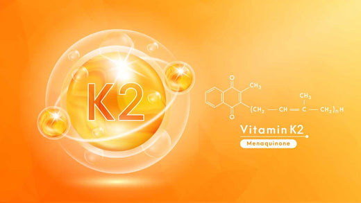 Vitamin K2 and Craniofacial Development: Why Animal-Based Nutrition Is Critical