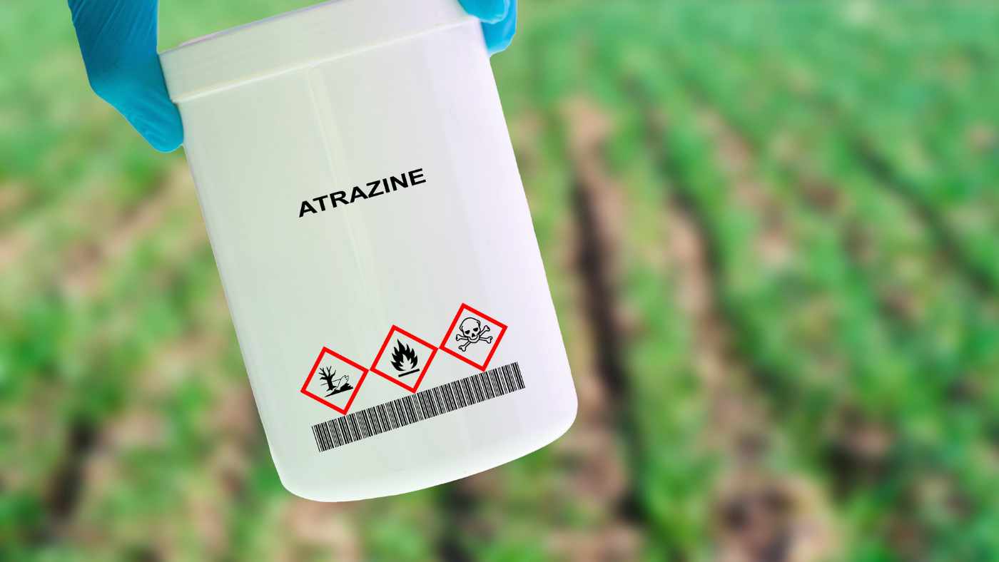 Atrazine in Your Water? Why RFK Jr. Is Calling for a Ban
