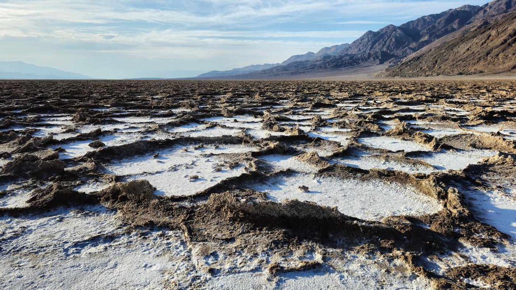 Salt and the Bigger Picture: Why We Chose an Ancient Salt over a Refined One