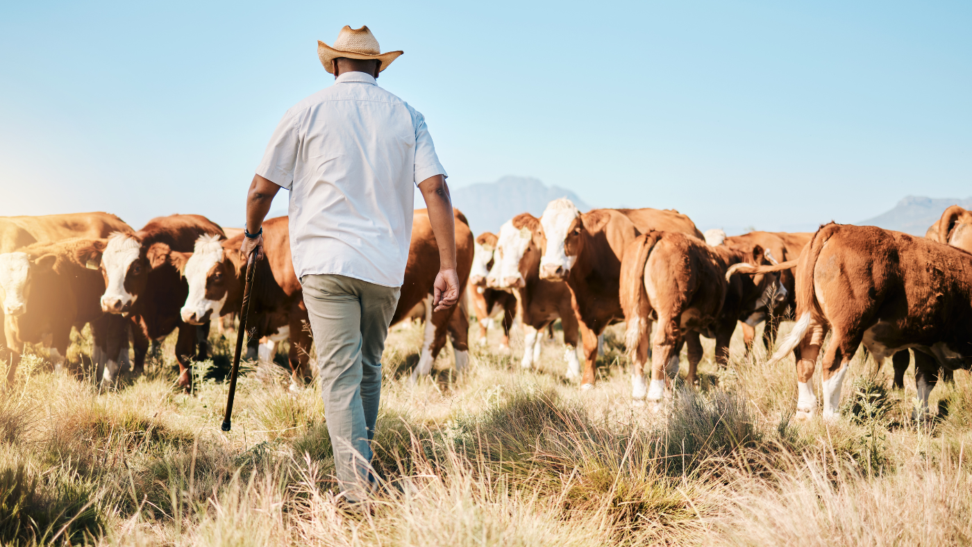 The Decline of American Farms: Why the Future of Food Depends on Reviving Regenerative Ranching