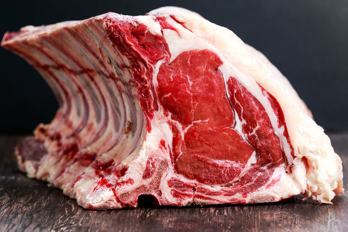 All about the carnivore diet